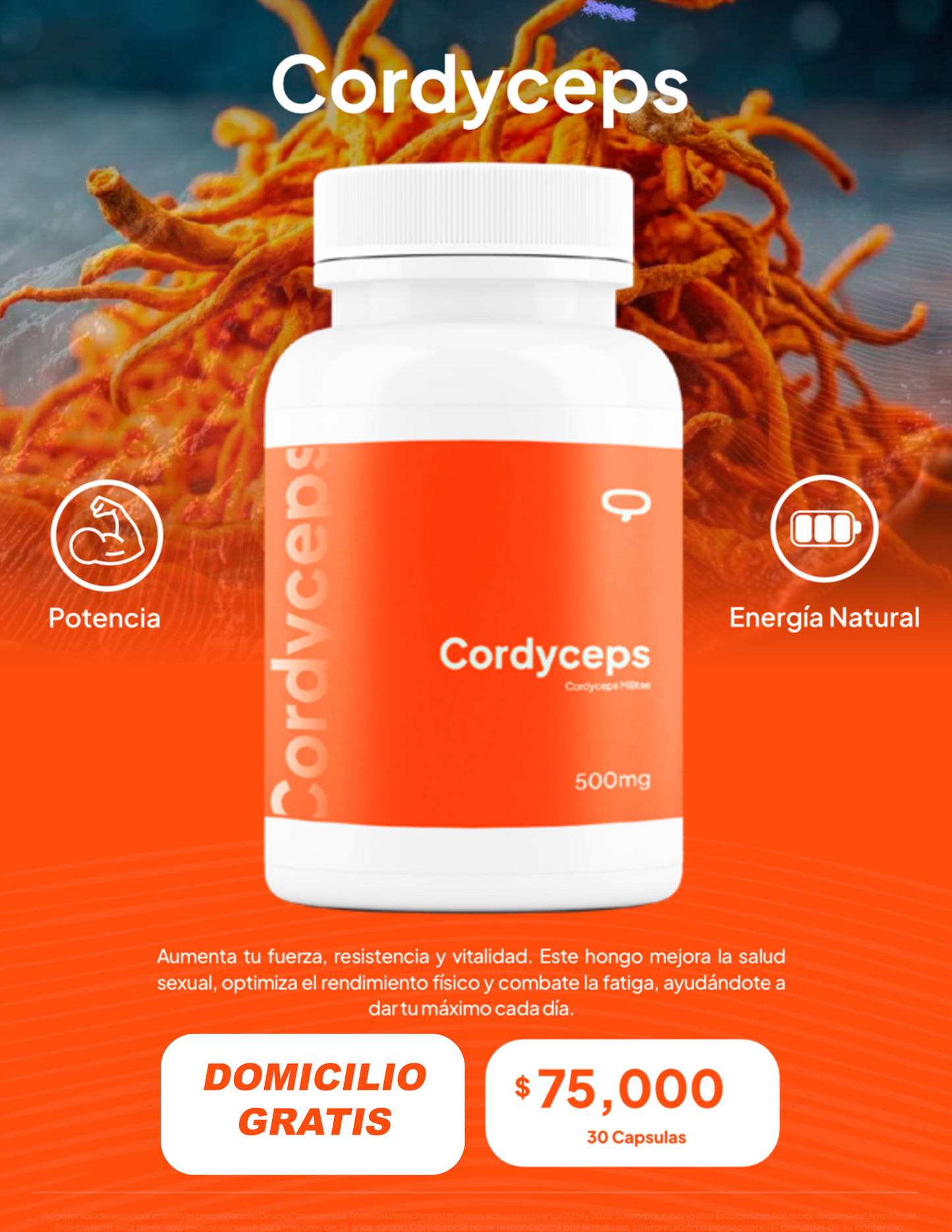 Cordyceps Premium