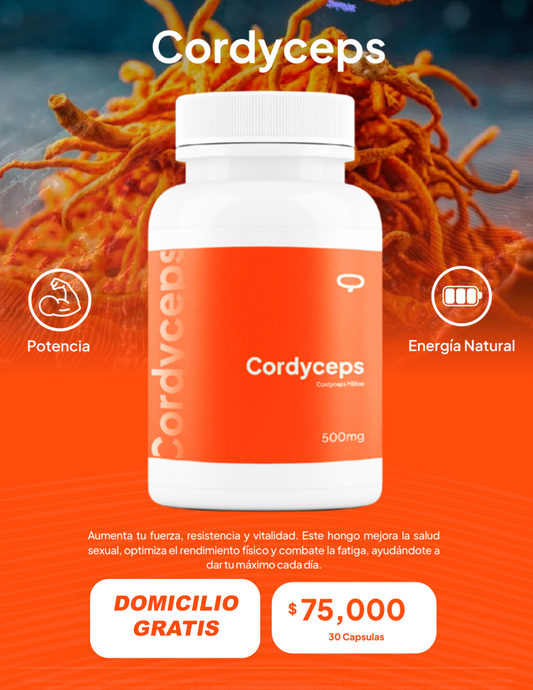 Cordyceps Premium