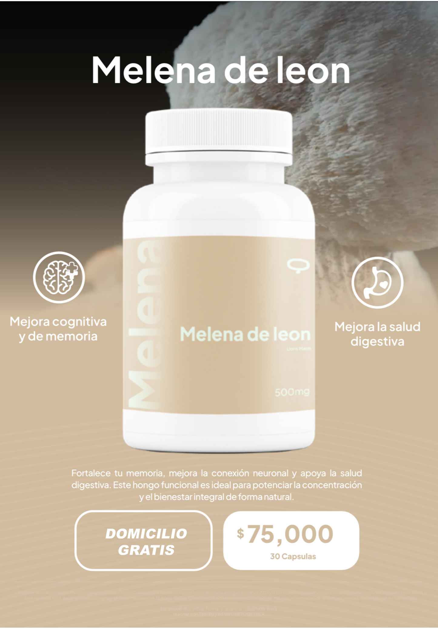 Hongo melena de leon